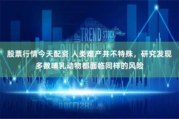 股票行情今天配资 人类难产并不特殊，研究发现多数哺乳动物都面临同样的风险